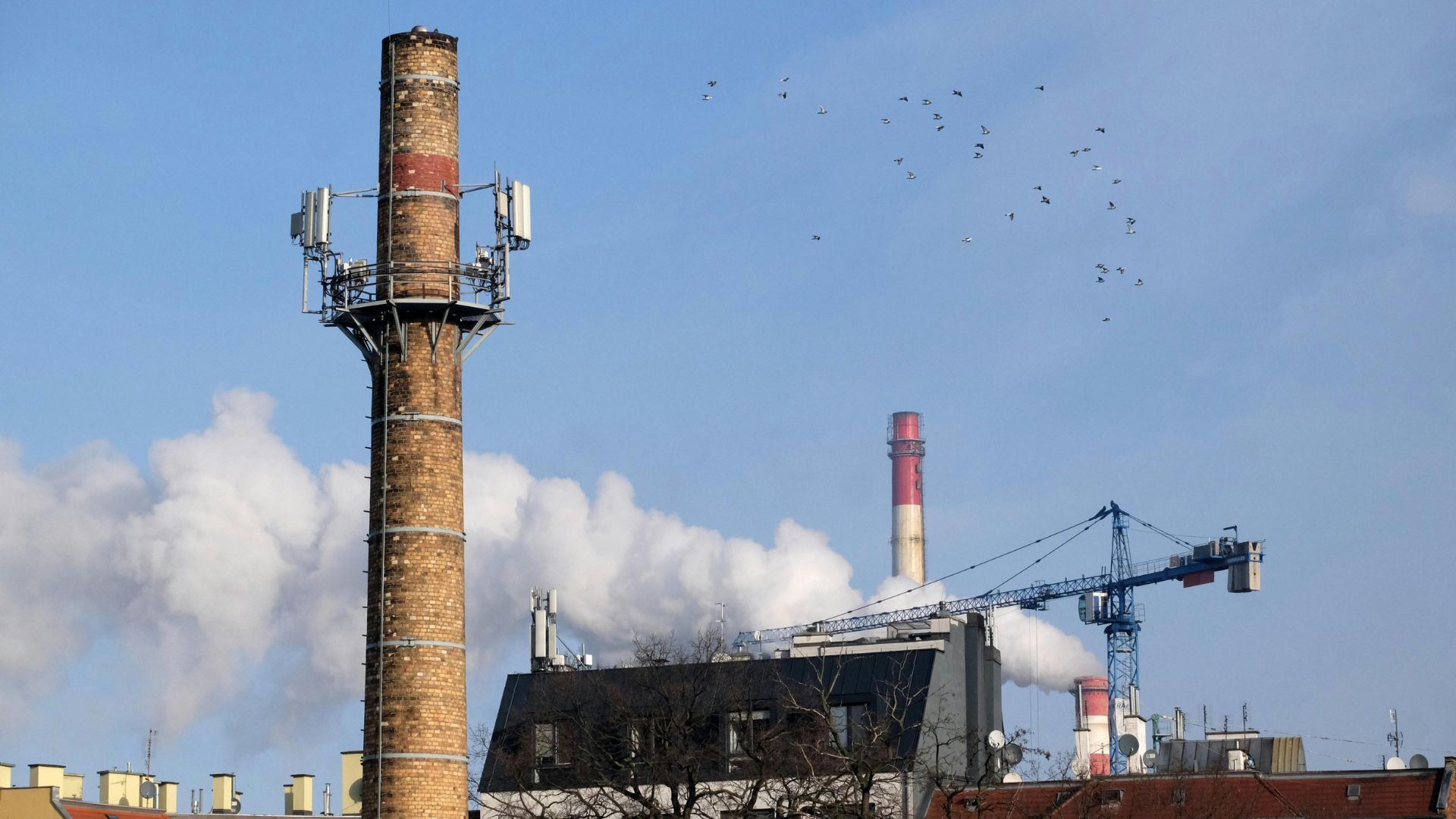 How Industrial Infrastructure Services in Western Australia Support Energy and Mining Industries